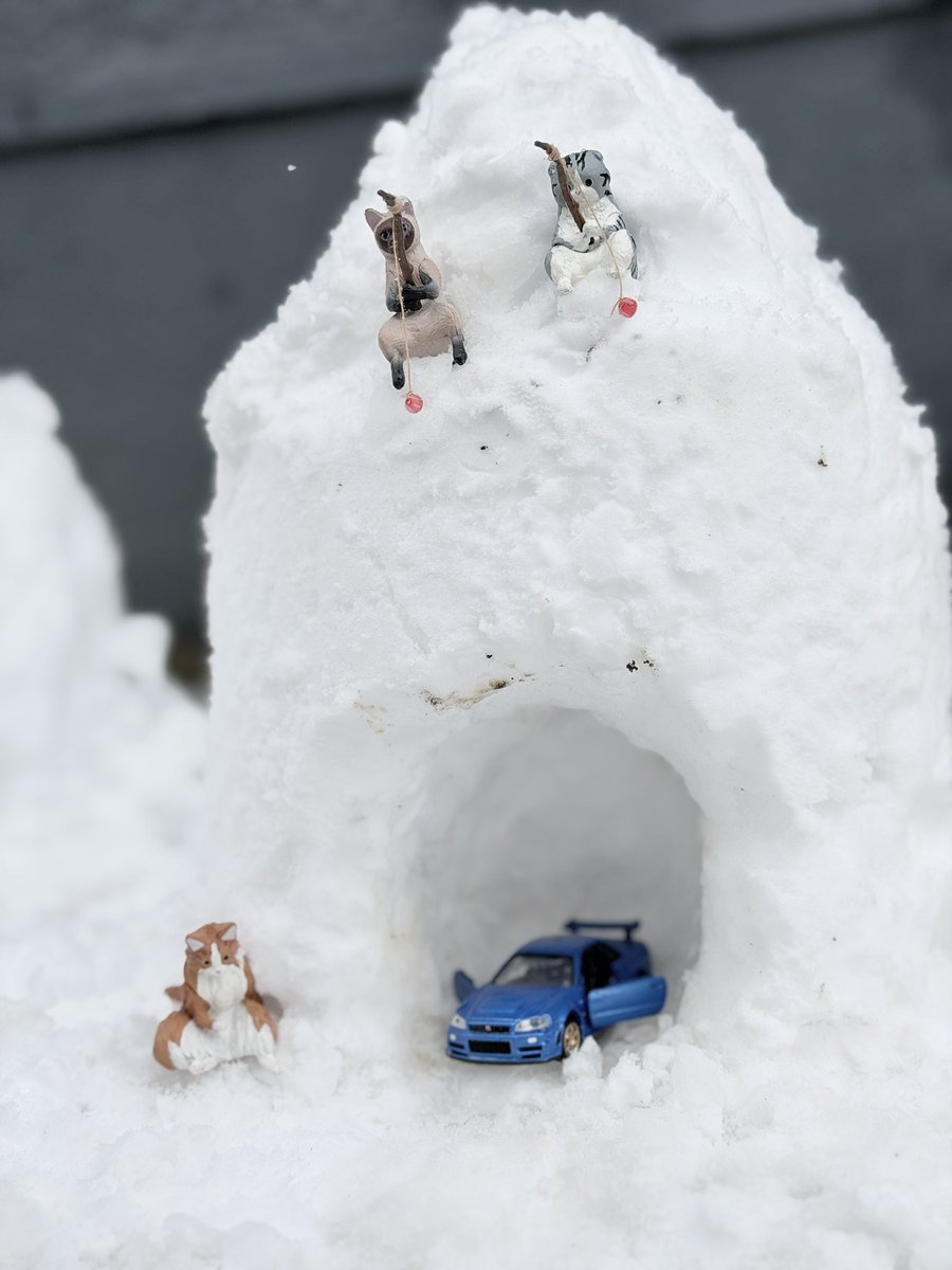 AYA🌈チビ女の大冒険🌈 (@ChibiAdv) / Posts / X