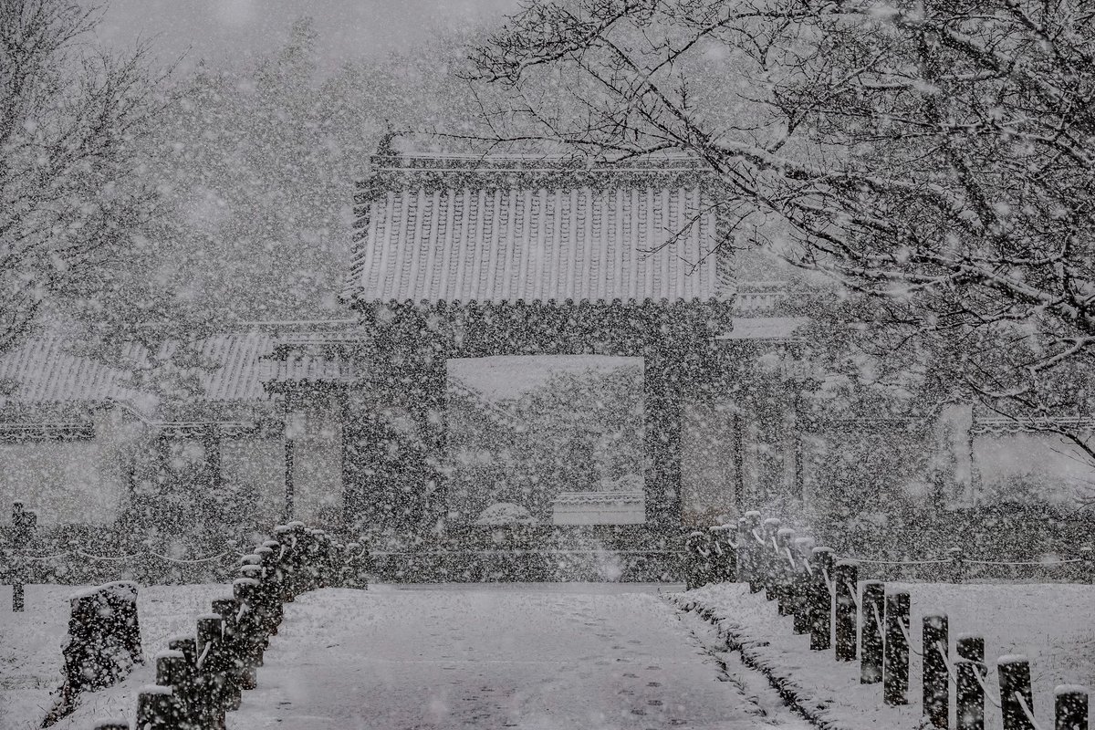 かんちゃん🍊 (@kanbowsan) / Posts / X