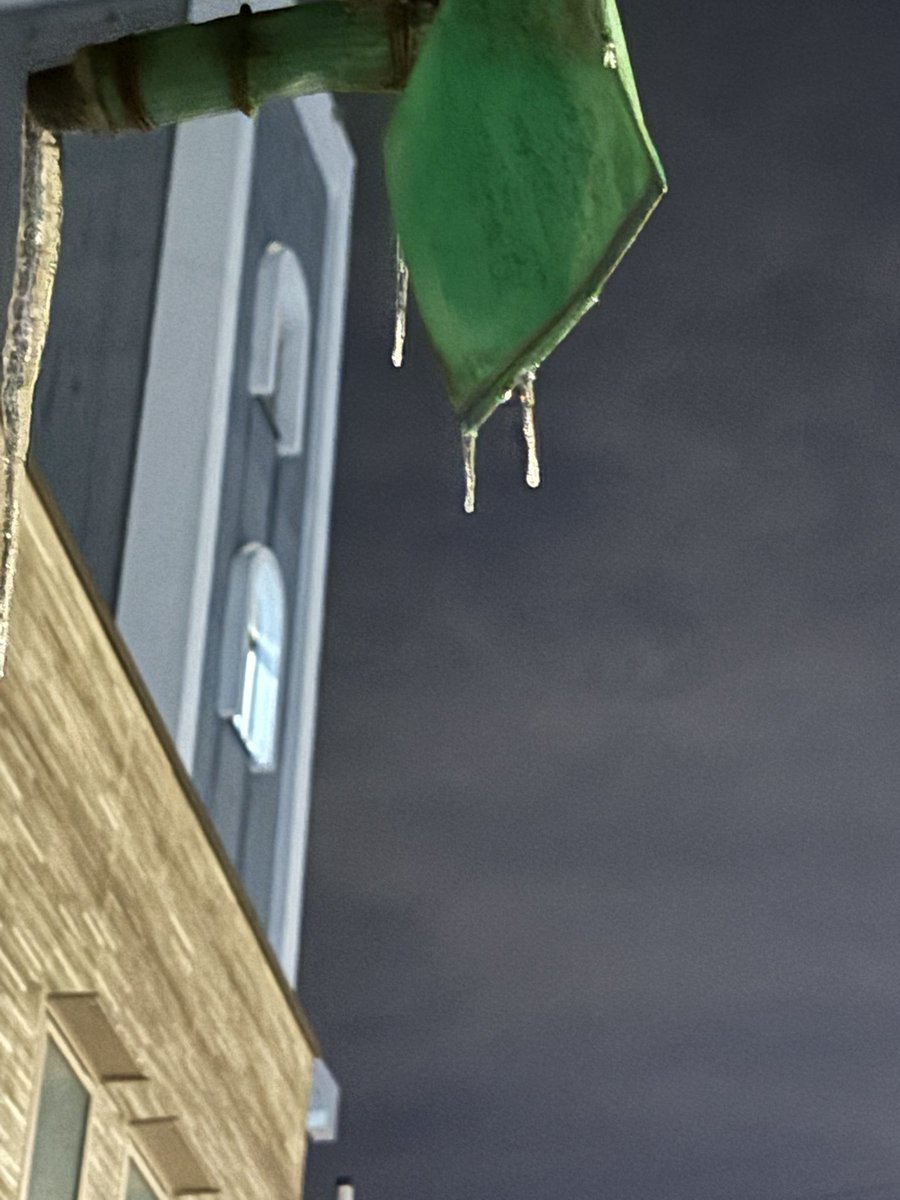 芝原チヤコ tweet media