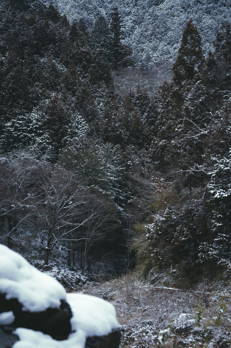 sato_net's tweet photo. 奥多摩の山々が雪化粧。静かで美しい風景。 https://t.co/EYnmBOJy4q