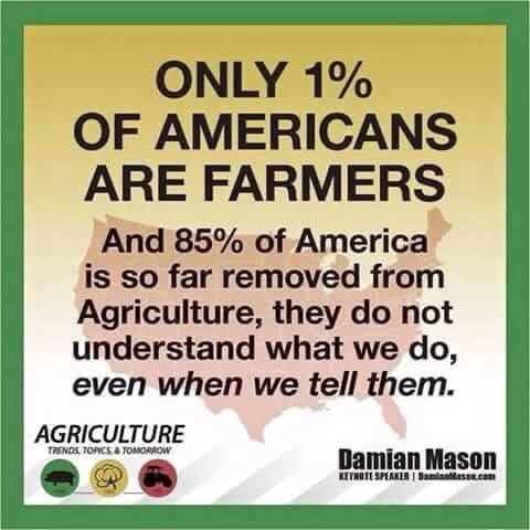 Nick McMichen tweet media