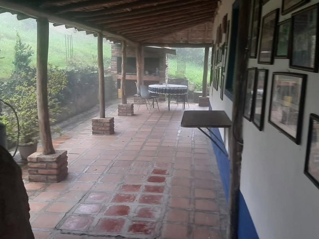 Venezuelensis Andium Venustas Aesthetics (@andiumvenuaest) on Twitter photo 