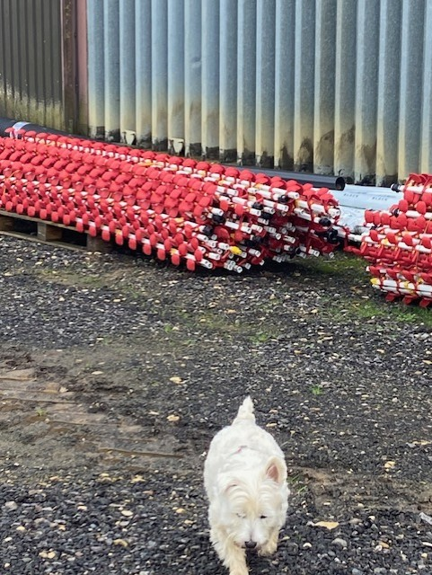 James H Reeve tweet media