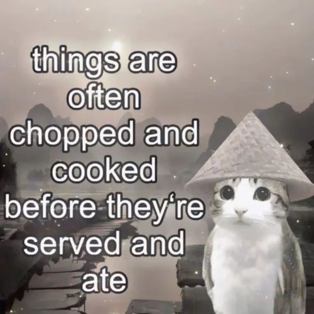 Tweets Of Cats tweet media