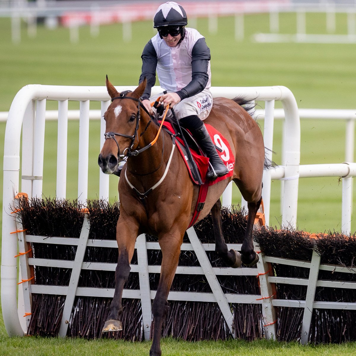 Stephen R Power tweet media