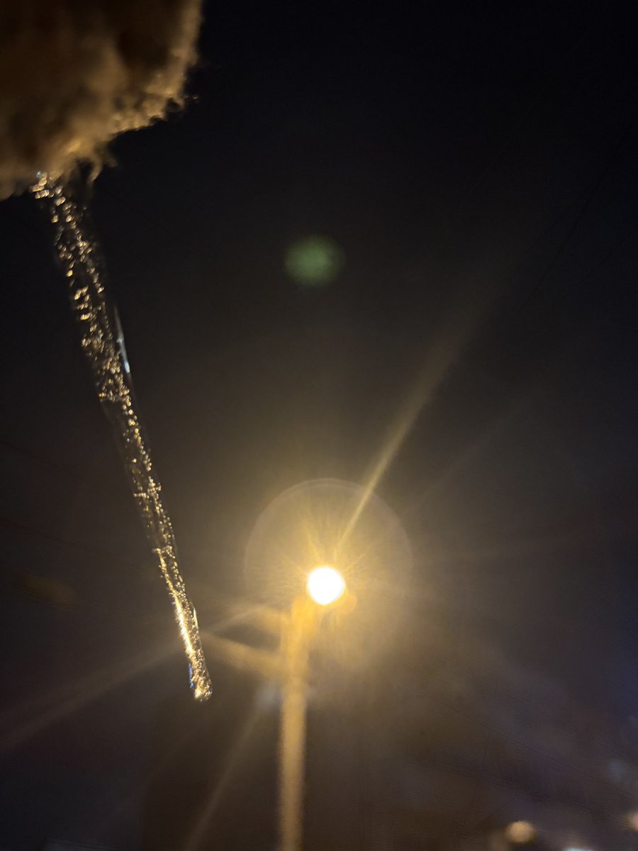 芝原チヤコ tweet media