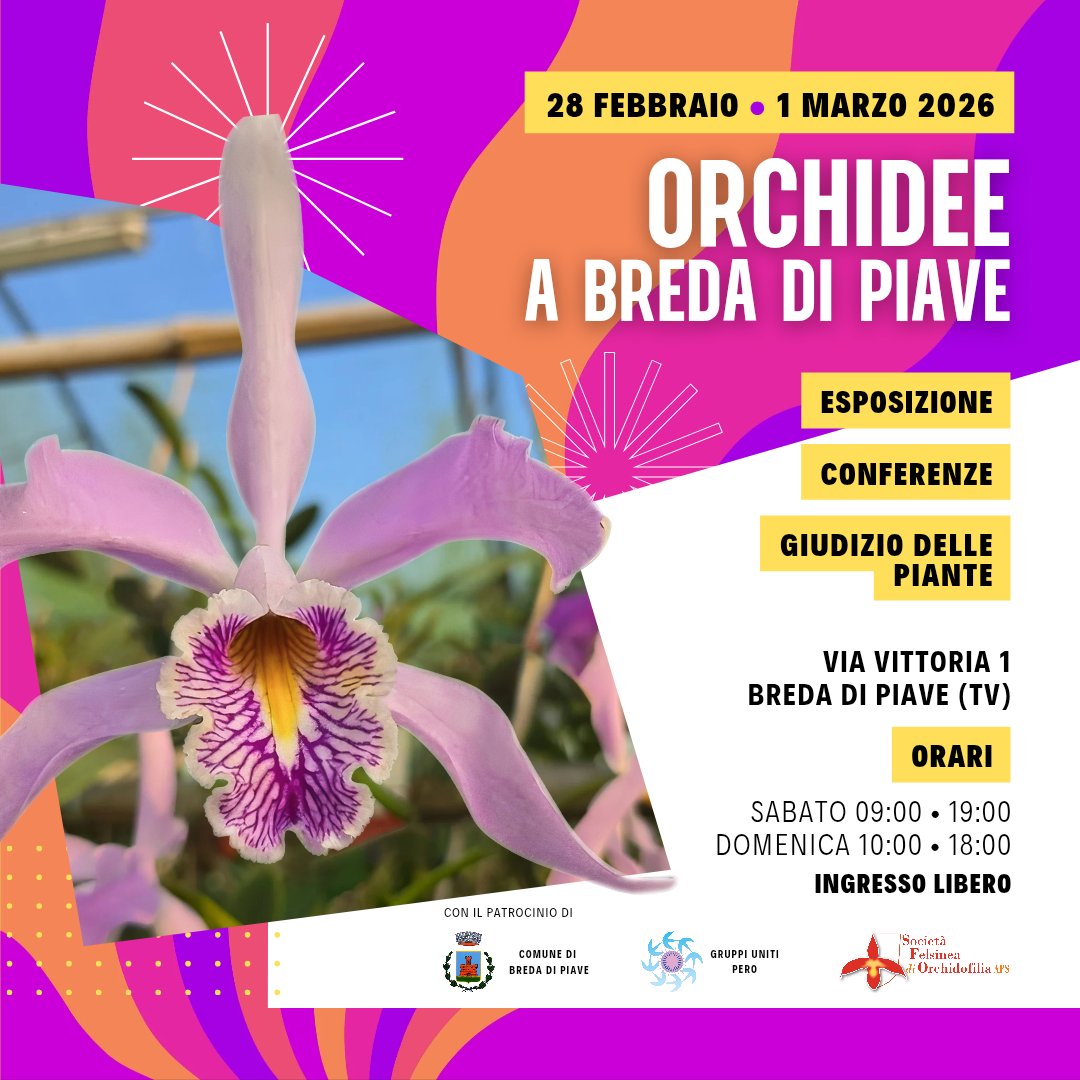 Orchidofilia tweet media