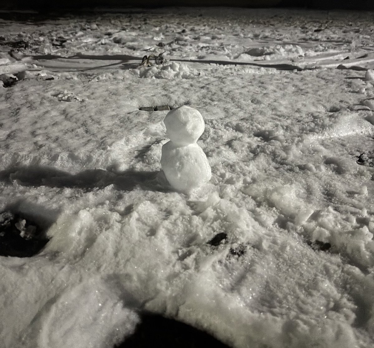 芝原チヤコ tweet media