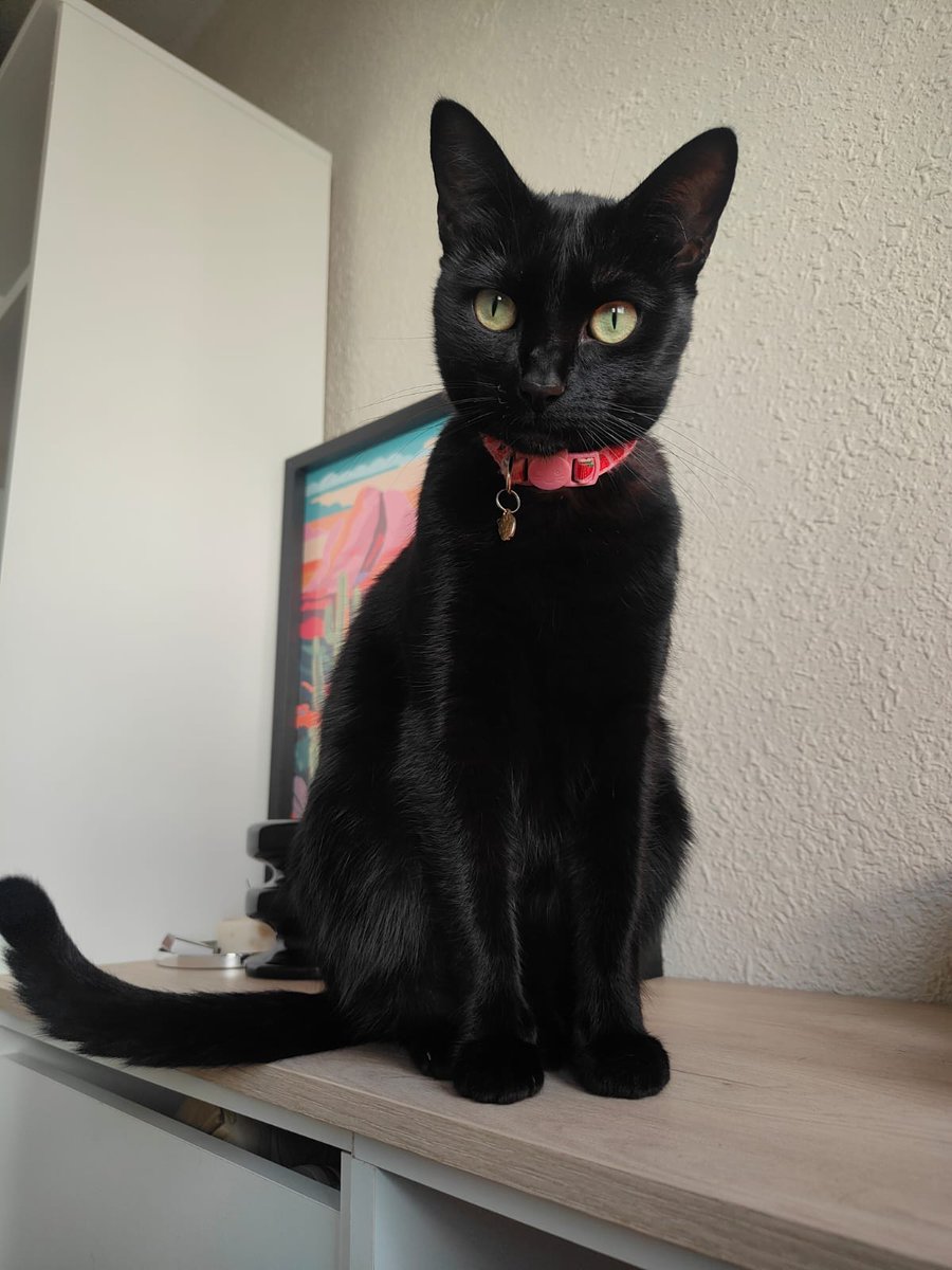 La más bonita de la casa 💖