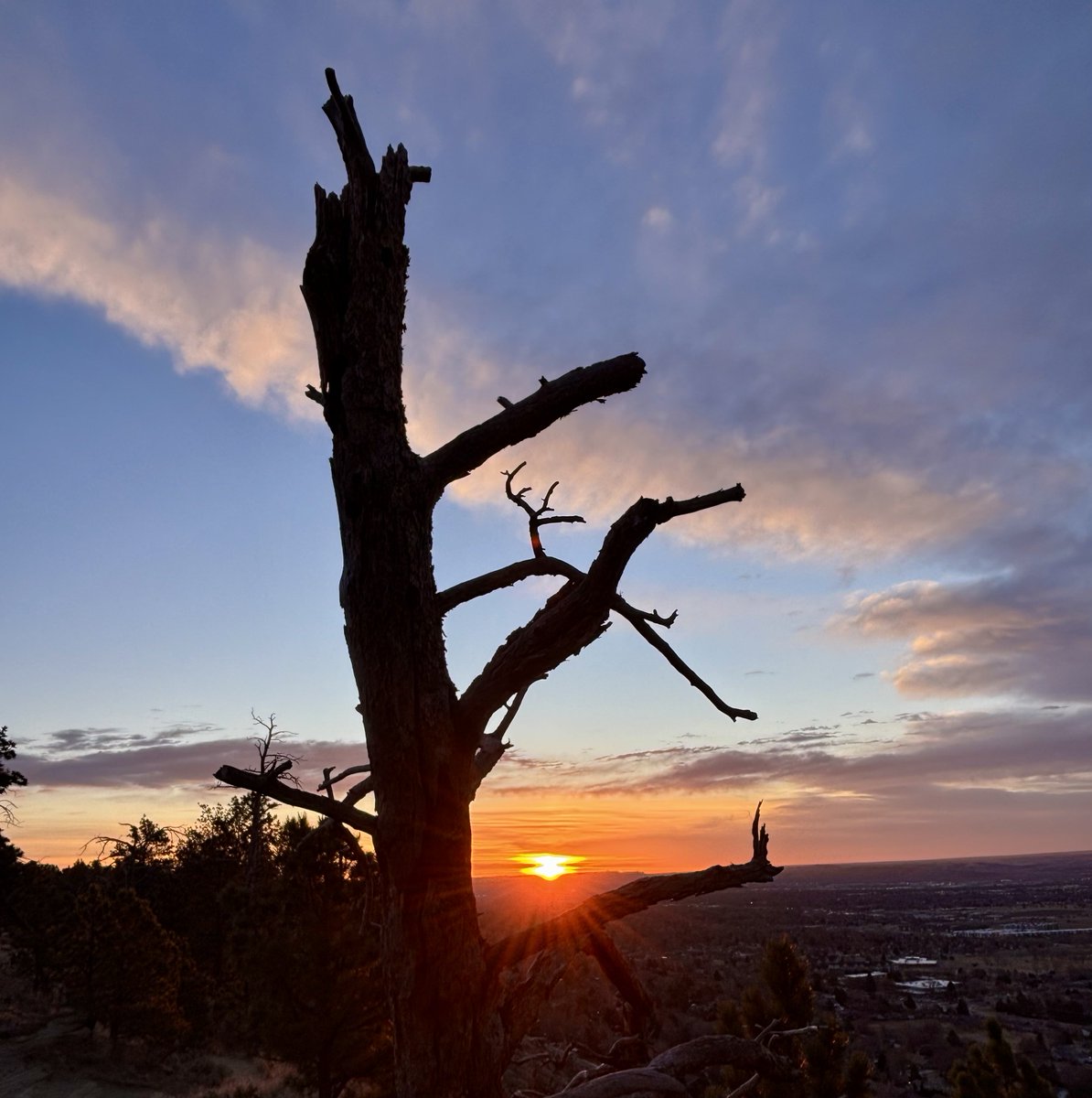 Super Sunday is here! May your team win!