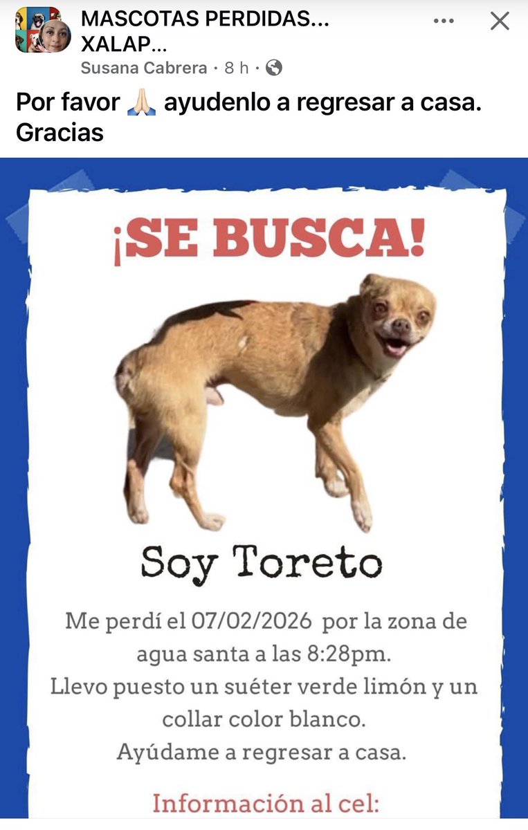 #Xalapa RT🐶🐶
<a href="/mageba04/">Gina alarcon</a> <a href="/Corintiacruz/">Corintia Cruz Oregón</a> <a href="/VialidadXalapa/">Vialidad Xalapa 🚦 VX 🌎</a> <a href="/AbelMucino/">Abel Muciño</a> <a href="/tierraverde1943/">ℓια ₊˚.༄ *ﾟ🌱</a> <a href="/pilykuera/">Pily Peregrina</a> <a href="/CECILLIA36/">CECILIA MENDEZ</a> <a href="/sara_juarez/">saraliz</a> <a href="/Ydlan/">Naldy Patricia</a> <a href="/fherciencias/">Soy Fher!</a> <a href="/camellinlove/">Porque soy xalapeño</a> <a href="/ArrezEdda/">Edda Arrez</a> <a href="/PopColorsXal/">PopCX</a> <a href="/RoxanaAAT/">Feto de PicaFresa🍓</a> <a href="/penelopemoncayo/">Penélope Moncayo.</a> <a href="/rociosaiz/">Rocio Saiz</a> <a href="/Pechmed/">Peter Tweet</a> <a href="/marinavera100/">Marina Vera</a> <a href="/mayteponm/">Mayte P.</a> <a href="/danielfcarrion/">Daniel Fernández Carrión</a> <a href="/sandysiux/">Sandy Colunga</a>