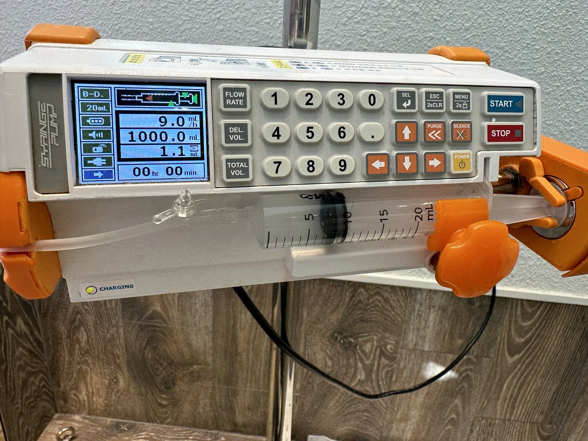 한달 사이 두 번의 폐수종. 그밖에도 많은 질환. 심장병 첫 진단 때부터 두려웠던 심장과 신장 사이 시소타기. 마지막 지푸라기로 줄기세포를 잡아본다. 마치 내일이 없는 자처럼 돈을 쓰다. 너의 남은 삶의 질이 유지되길, 네가 사랑하는 나를 좀 더 맘껏 눈에 담을 수 있기를.