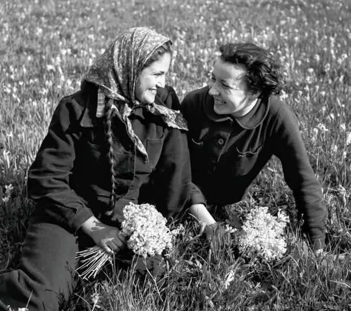 m77481070's tweet image. "Ne laisse entrer dans le jardin de ta vie que ceux qui ont des fleurs à planter." 

Hacène Mazouz