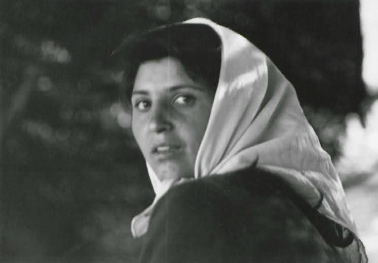 YÖRÜK🇹🇷🍀 tweet media