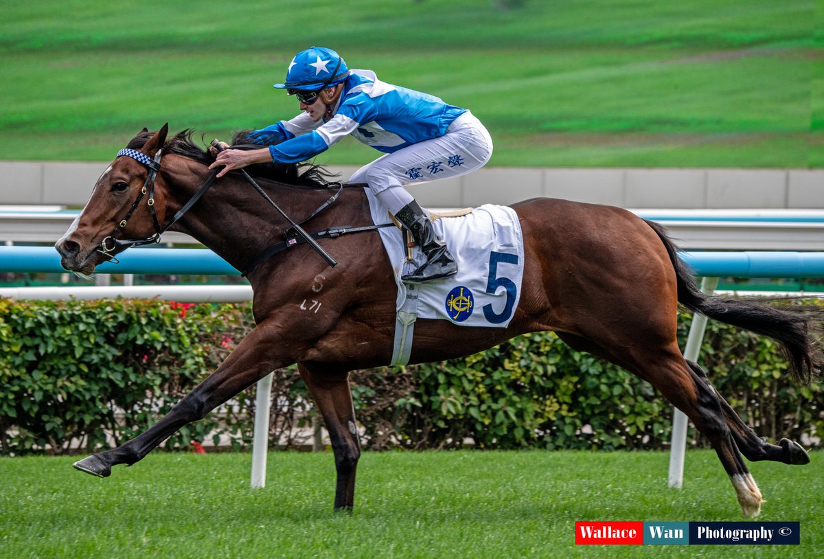 Wallace Wan tweet media