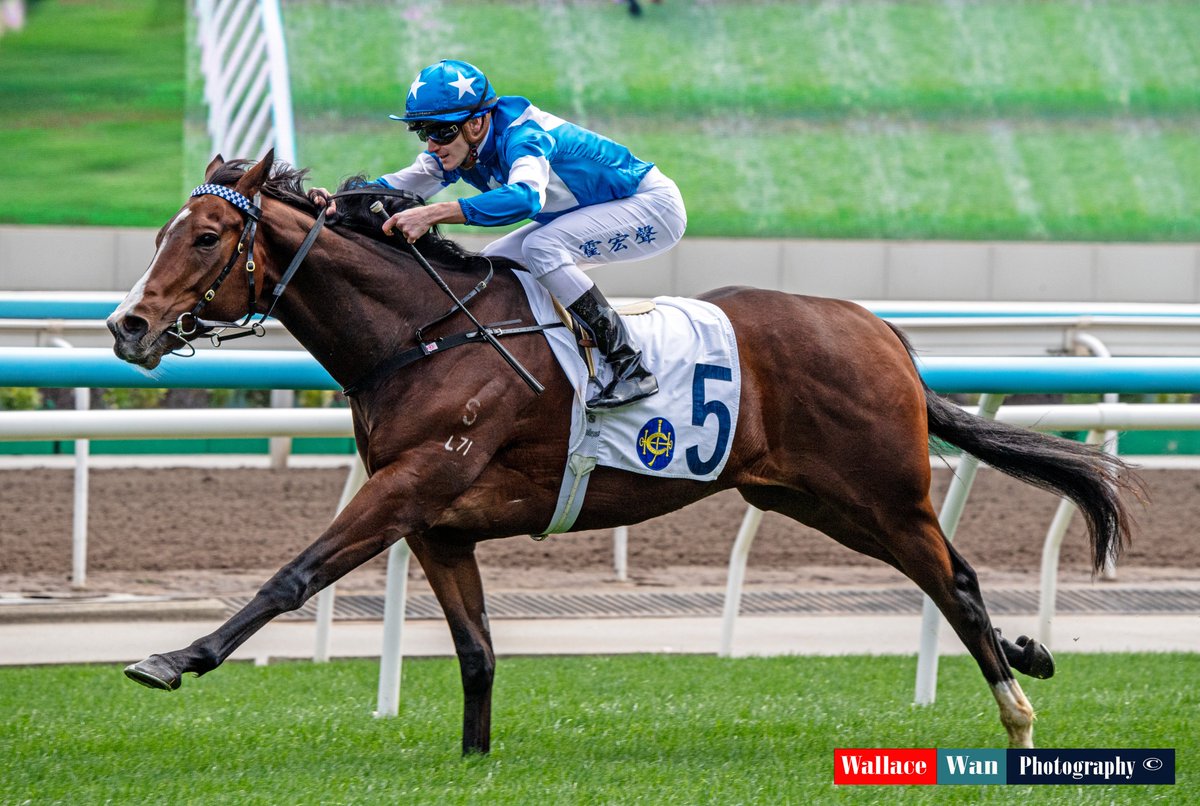 Wallace Wan tweet media