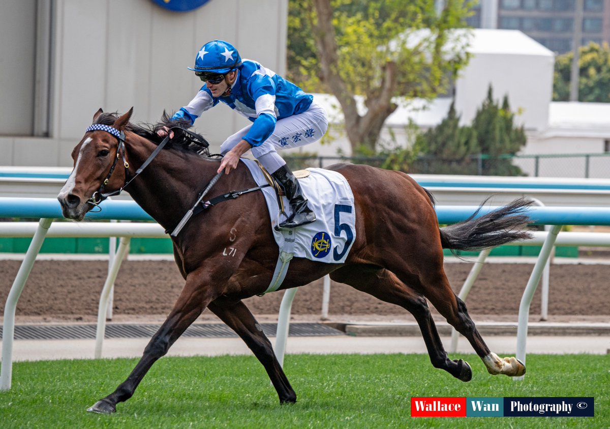 Wallace Wan tweet media