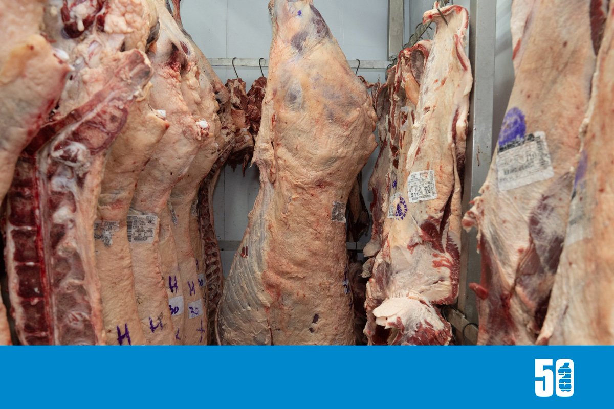 EL PRECIO DE LA CARNE VUELVE A SUBIR MIENTRAS EL GOBIERNO IMPULSA EXPORTACIONES Y AMPLÍA CUPOS CON EEUU

La carne vacuna volvió a registrar alzas en los precios al consumidor argentino en enero, un fenómeno que se suma a una tendencia de encarecimiento que presiona sobre la