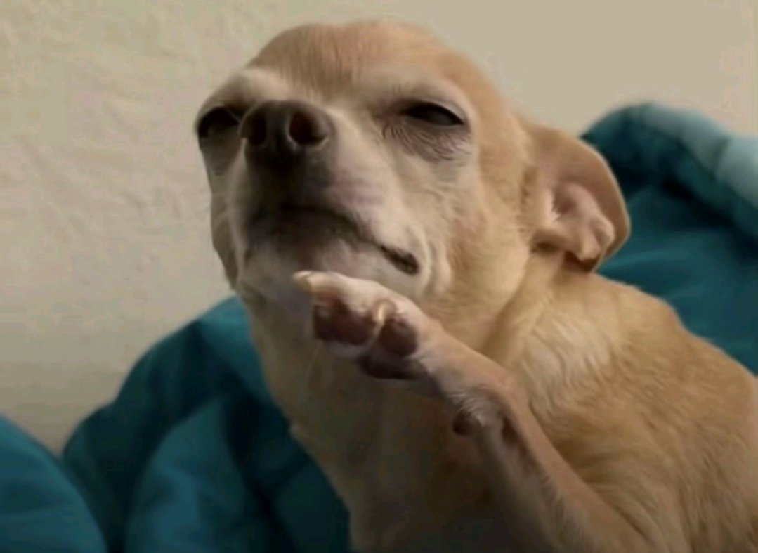 curry frog bumpa tweet media