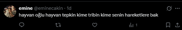 Bunları kaydedeyim de iyice ünlü olduğunda, eminecakinsilinentweetler hesabımda kullanırım. 😅<a href="/eminecakin/">emine</a>