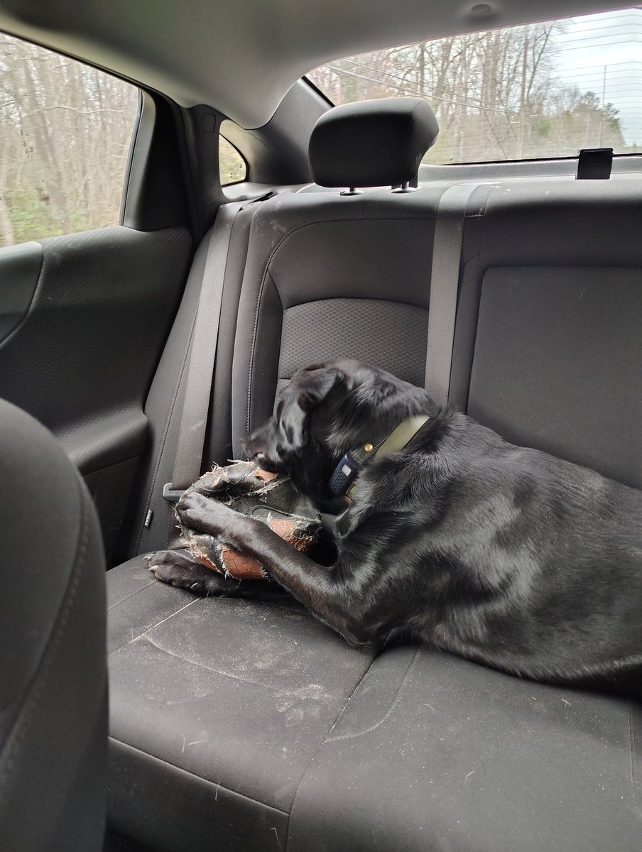 Poppa Stonks 🦑🦑 tweet media