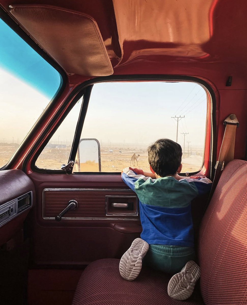 بتال و جَمال الجِمال حكاية تأمل 🐪