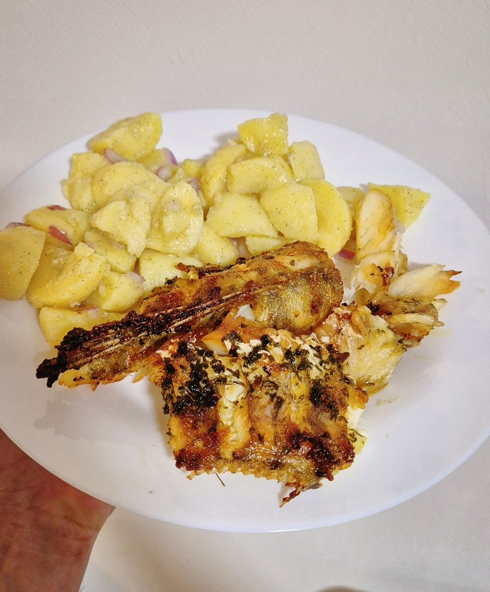 Kralj rečne ribe, njegovo veličanstvo - smuđ