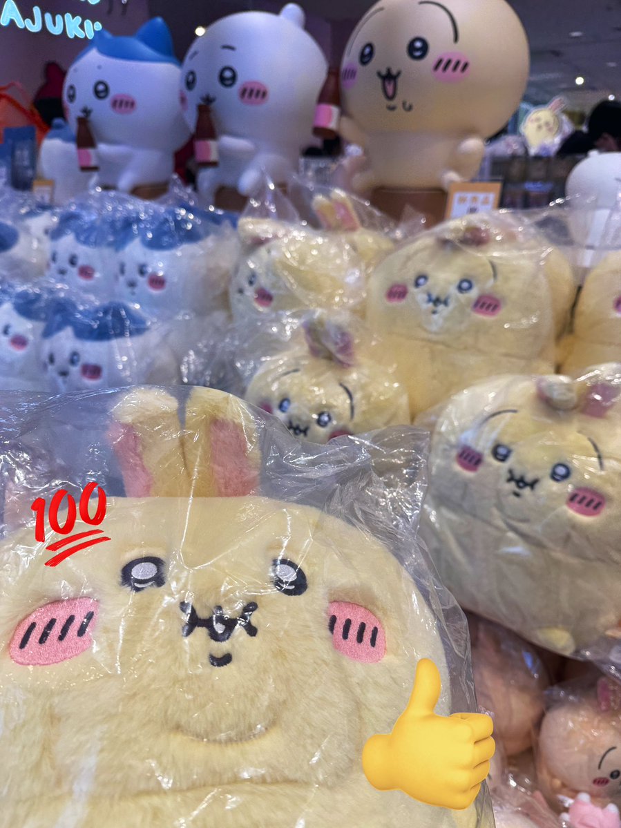 Saw this review earlier. I was in the area, so I got one. It is exactly as they said it is. Usagi feels like a marshmallow. 10/10 purchase.