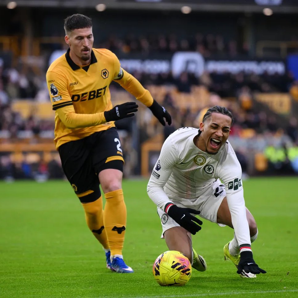 Talking Wolves tweet media