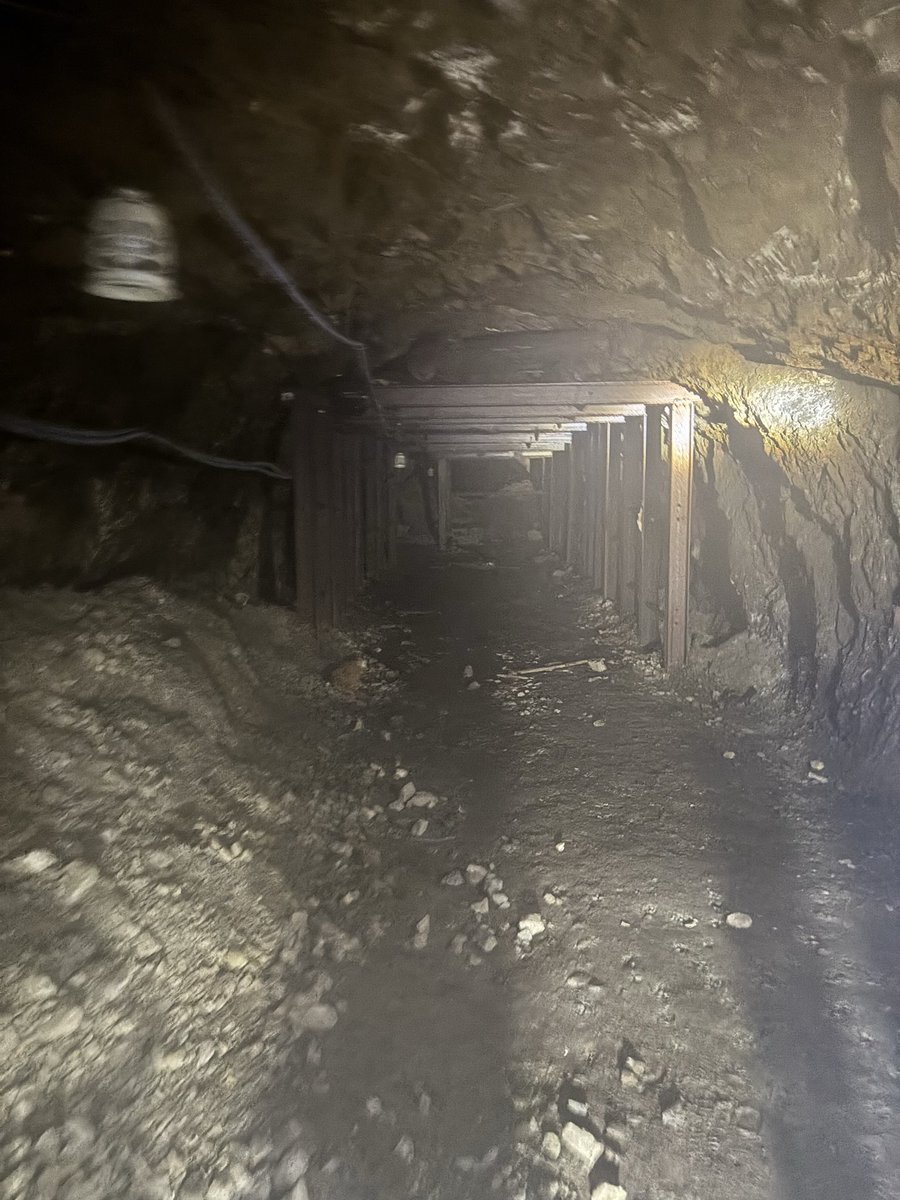 じゃん♀ tweet media