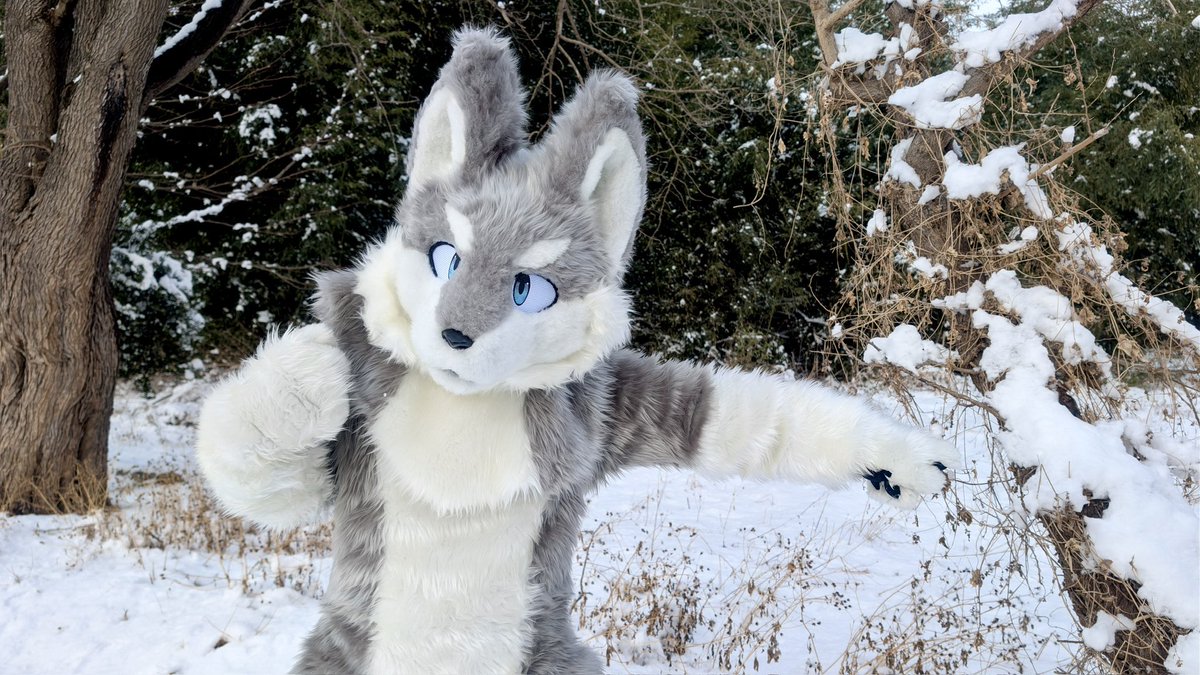 ﾖｯｼｰ🐾→？ (@hmsqm759okami) / Posts / X