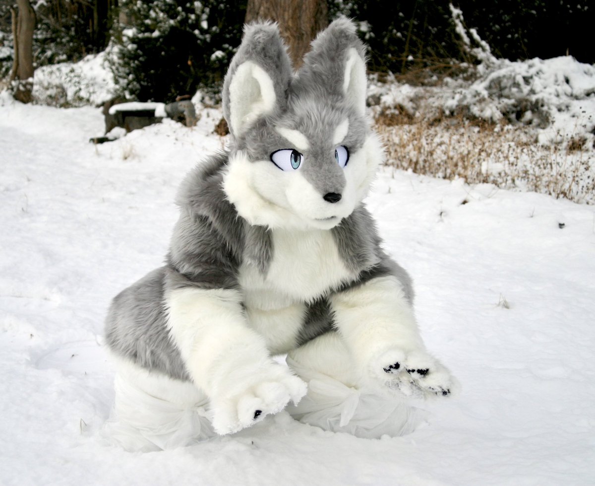 ﾖｯｼｰ🐾→？ (@hmsqm759okami) / Posts / X