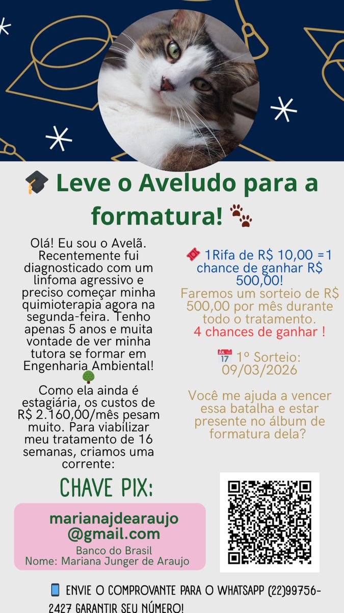 Infelizmente bloquearam meu WhatsApp por hoje pelo número de mensagens,  mas vcs podem me contatar pelo instagram @marijunger_