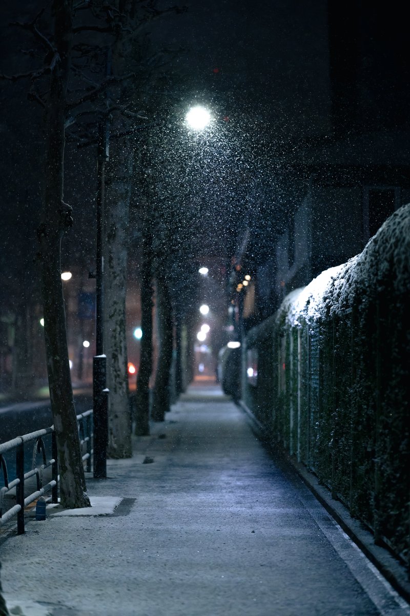 Shin (@736e617073686f7) / Posts / X