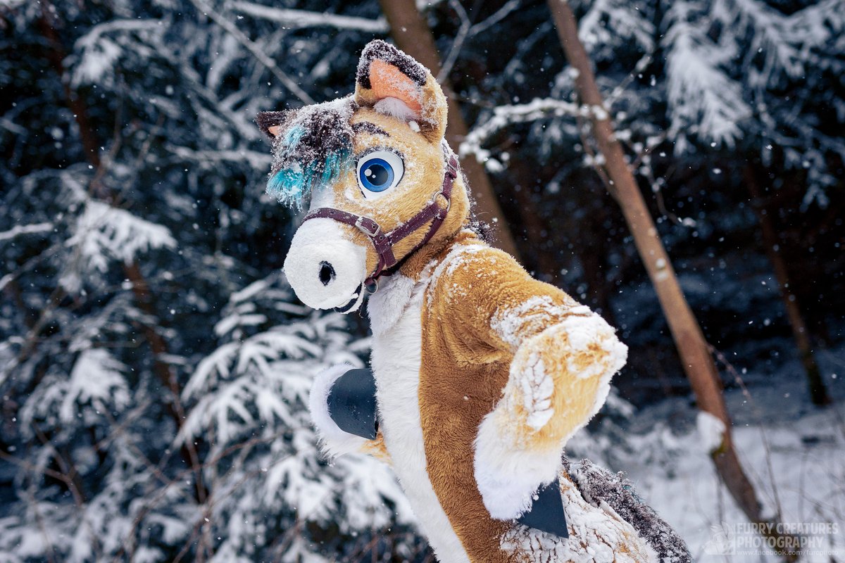 Johnny Colt tweet media