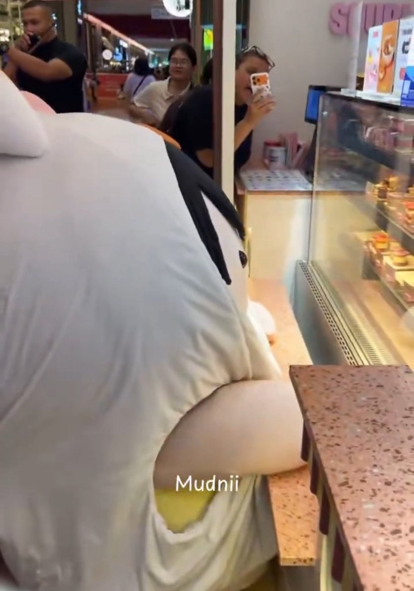 nevermeturr's tweet image. เอนี่                                           บอนนี่