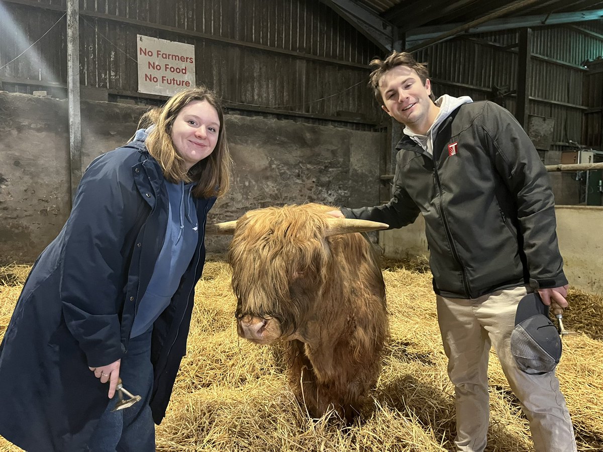 The Hermanator! (Paul Hermans) tweet media