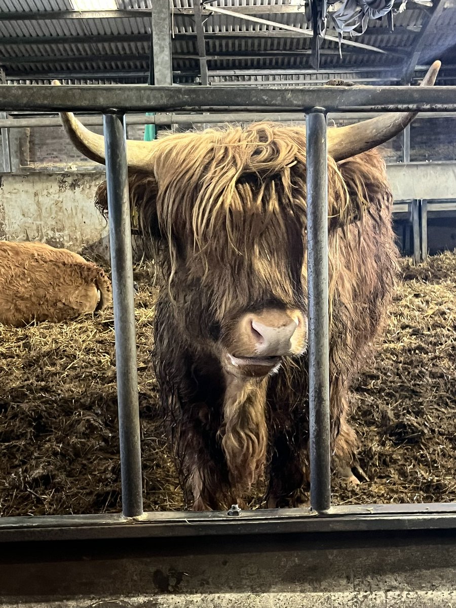 The Hermanator! (Paul Hermans) tweet media