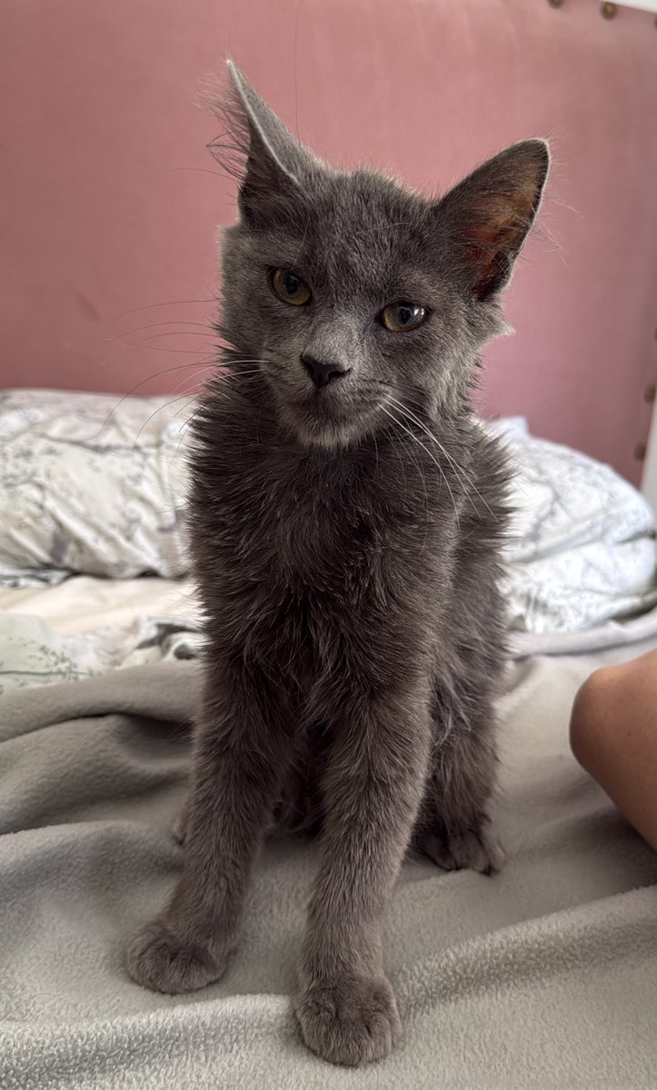 Uno que se acaba de despertar