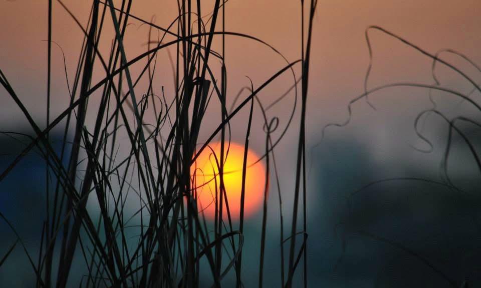 ਆਬਾਦ ਕੁਝ ਨਹੀਂ, ਬਰਬਾਦ ਕੁਝ ਨਹੀਂ  
ਪਹਿਲਾਂ ਕੁਝ ਨਹੀਂ, ਬਾਅਦ ਕੁਝ ਨਹੀਂ  
ਇਹ ਤਾਂ ਸਭ ਜ਼ਿੰਦਗੀ ਦੇ ਛਲਾਵੇ ਨੇ  
ਕੈਦ ਕੁਝ ਨਹੀਂ, ਆਜ਼ਾਦ ਕੁਝ ਨਹੀਂ…

-Kiran Nirvan