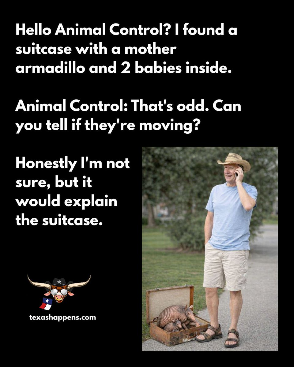 TXHappens's tweet image. Probably moving out of Houston to pretty much anywhere in Texas 🤠🤠🤠

#armadillo #moving #animalcontrol