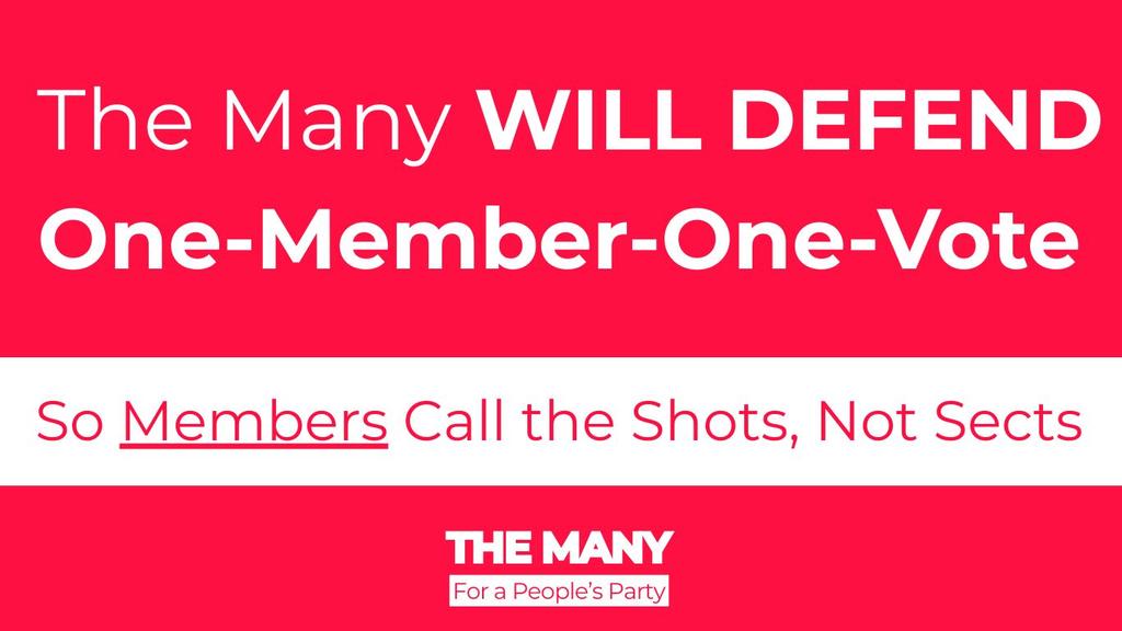 The Many tweet media