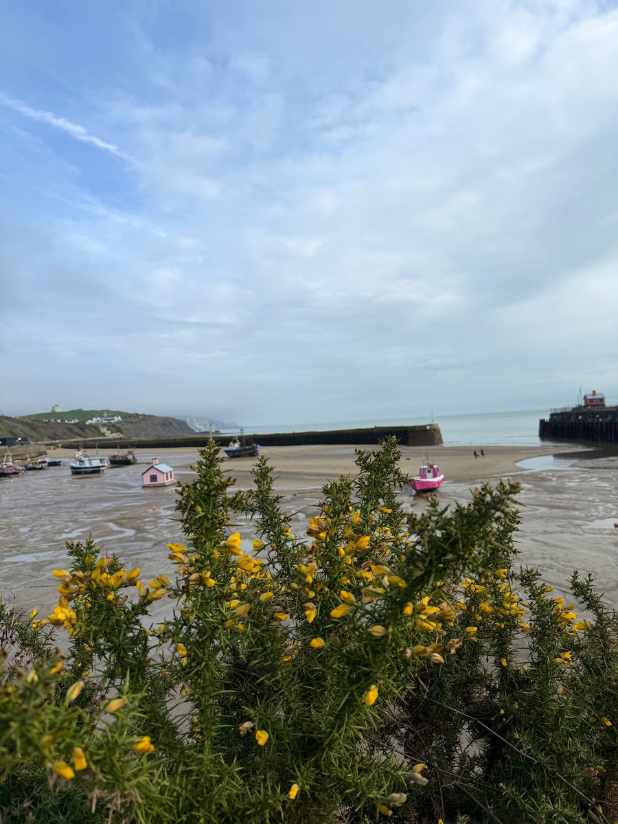 MrsF202's tweet image. More time spent outdoors around #Folkestone 

Nearly hit 55k steps over the past two days - making the most of the dry weather and every chance to get out and about ☺️✨🌊👟