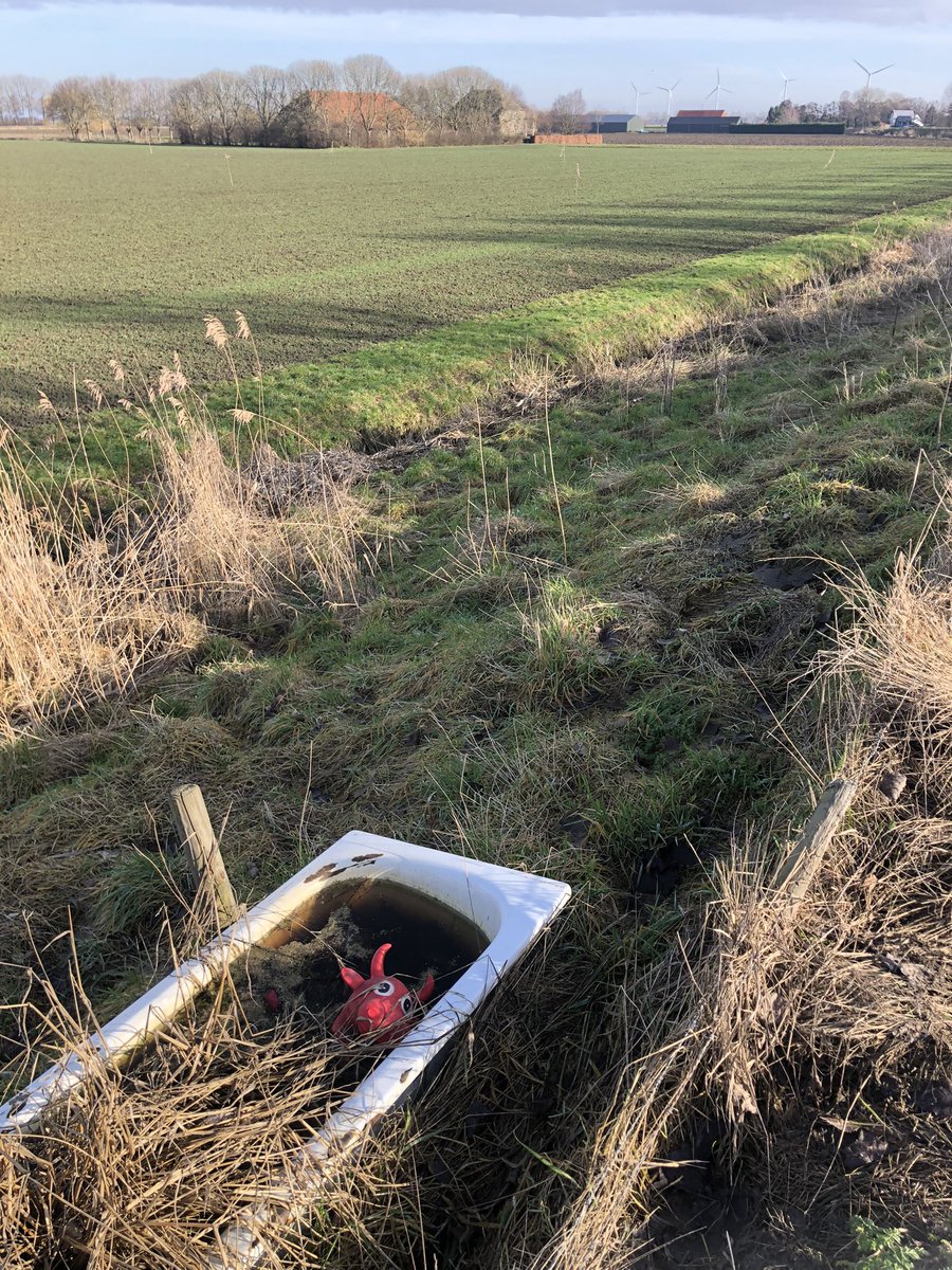 Frans van Zijderveld tweet media