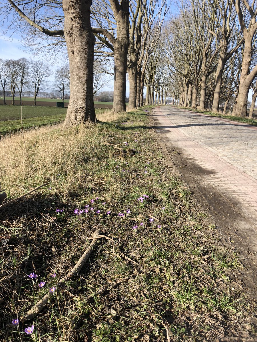 Frans van Zijderveld tweet media