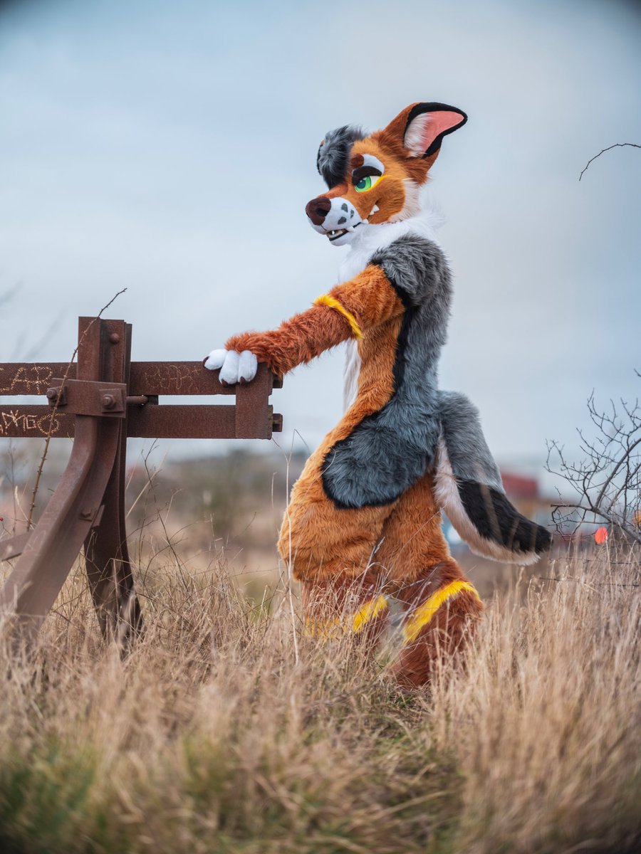 Mote 🇸🇰🐾 🇪🇺 Awoostria, Furizon, Cesfur tweet media