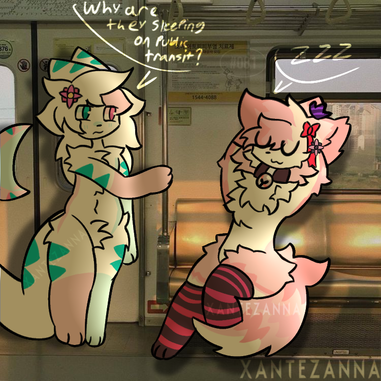 Sleeping on public transit..? And hoping no one notices?🩷💚