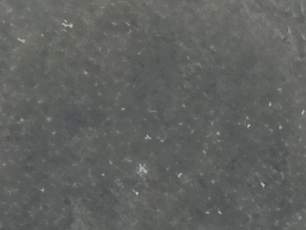 雪❄️降ってるところ撮ってみた
どうしても
私の目には
K
に見える…😳🧐🤭