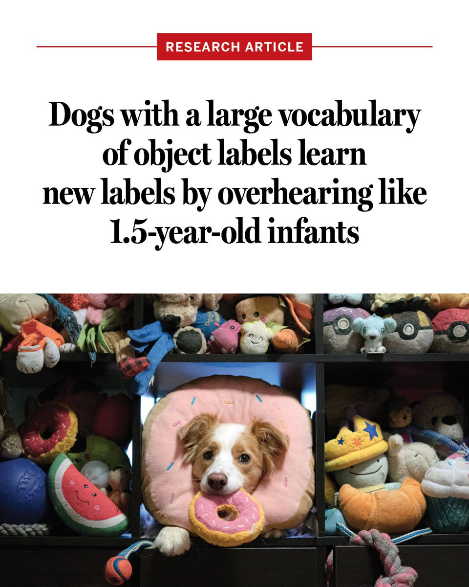 Science Magazine tweet media