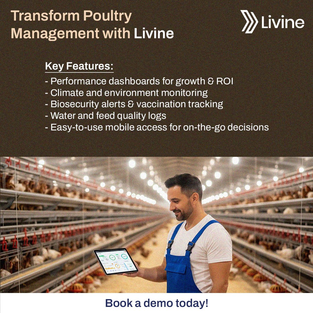 LivineSoftware's tweet image. Transform poultry management with Livine ERP. 

From performance dashboards to biosecurity alerts, climate monitoring, and mobile access—our tools empower smarter decisions and measurable ROI. 

Book a demo today. 
- livine.io/contact

#AgriTech #ERP #PoultryManagement